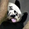评论头像