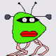 guest