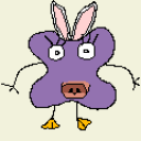 www