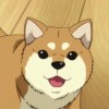 user_avatar