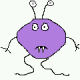 qazzl