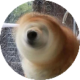 彬红茶