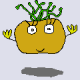 aaaa
