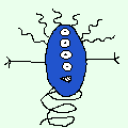 23603