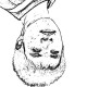 疯子