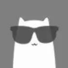 小白