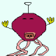 crosslife