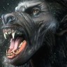 user_avatar