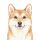 初然忆